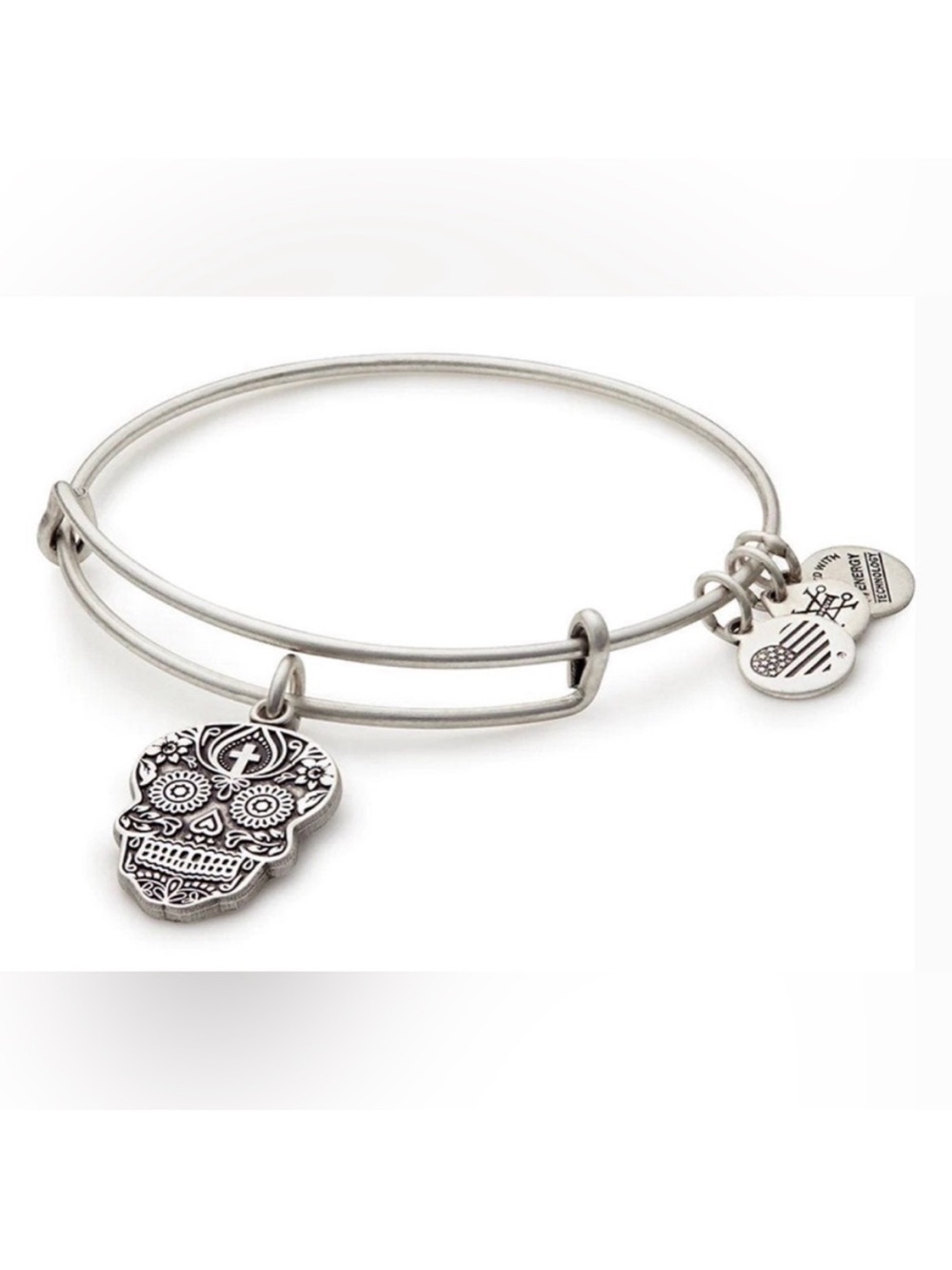 Alex & Ani Calavera Charm Rafaelian Silver Dia De Los Muertos Bracelet